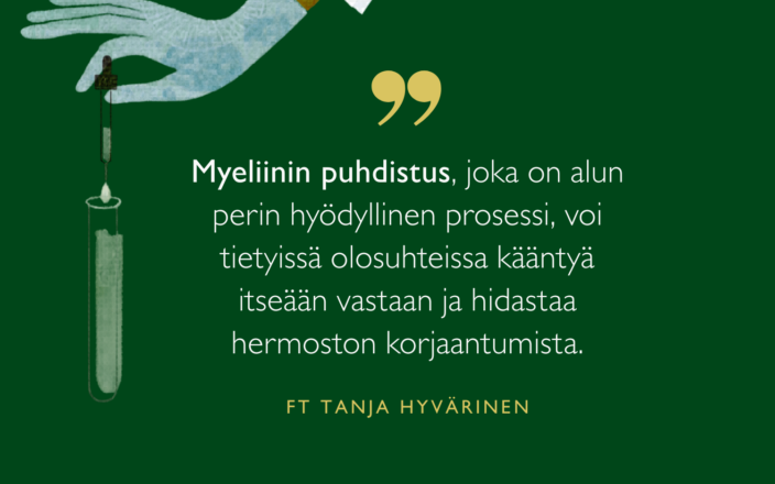 Myeliinin puhdistus, joka on alun perin hyödyllinen prosessi, voi tietyissä olosuhteissa kääntyä itseään vastaan ja hidastaa hermoston korjaantumista, sanoo tutkija Tanja Hyvärinen.