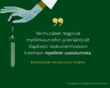 Verihiutaleet reagoivat myeliinivaurioihin ja kerääntyvät tilapäisesti keskushermostoon tukemaan myeliinin uusiutumista, kertoo professori Rivera.