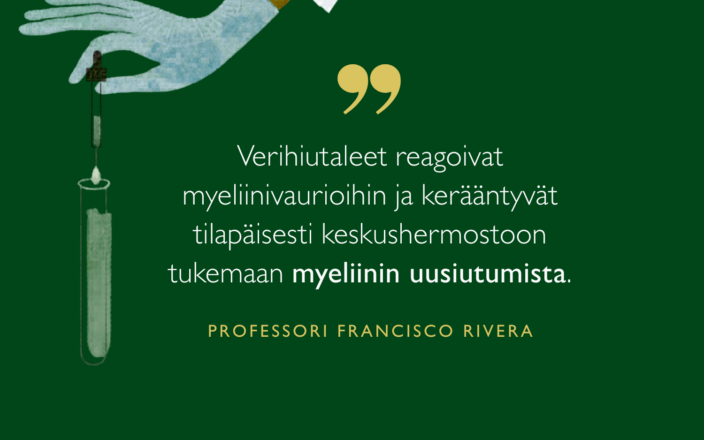 Verihiutaleet reagoivat myeliinivaurioihin ja kerääntyvät tilapäisesti keskushermostoon tukemaan myeliinin uusiutumista, kertoo professori Rivera.