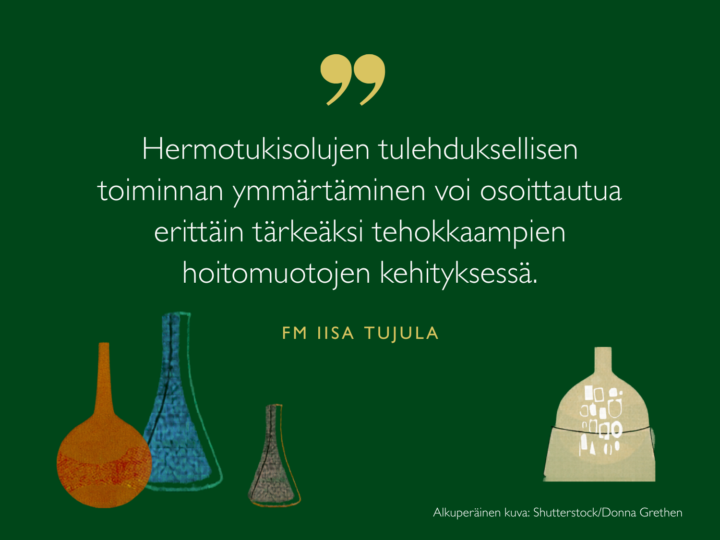 Hermotukisolujen tulehduksellisen toiminnan ymmärtäminen voi osoittautua erittäin tärkeäksi tehokkaampien hoitomuotojen kehityksessä, sanoo Iisa Tujula.